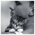 Мемы приколы про котов и кошек картинки 1472234439_287.jpg
